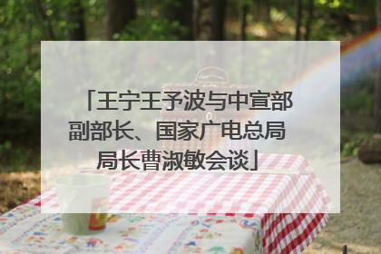 王宁王予波与中宣部副部长、国家广电总局局长曹淑敏会谈
