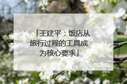 王建平：饭店从旅行过程的工具成为核心要求