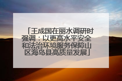 王成国在丽水调研时强调：以更高水平安全和法治环境服务保障山区海岛县高质量发展