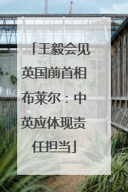 王毅会见英国前首相布莱尔：中英应体现责任担当