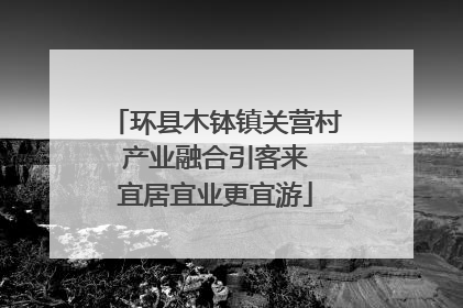 环县木钵镇关营村 产业融合引客来 宜居宜业更宜游