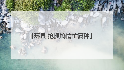 环县 抢抓墒情忙夏种