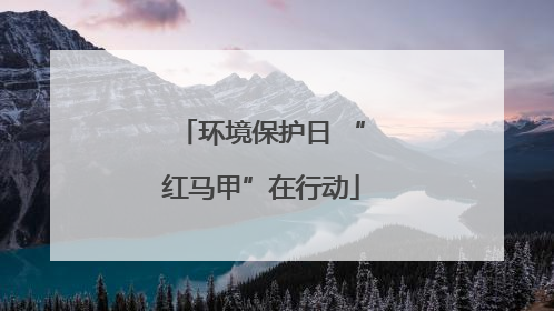 环境保护日 “红马甲”在行动