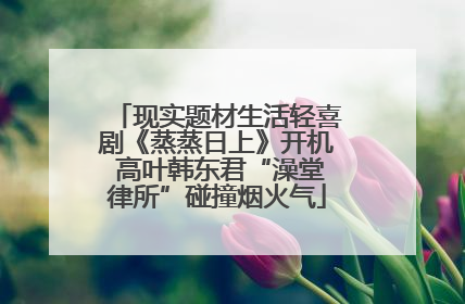 现实题材生活轻喜剧《蒸蒸日上》开机 高叶韩东君“澡堂律所”碰撞烟火气
