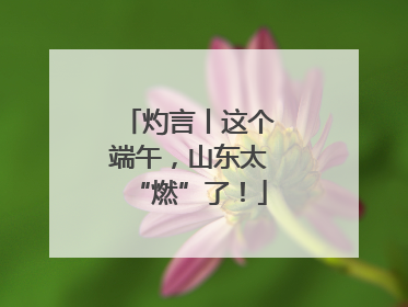 灼言丨这个端午，山东太“燃”了！