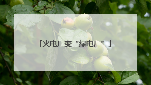 火电厂变“绿电厂”