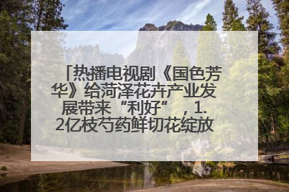 热播电视剧《国色芳华》给菏泽花卉产业发展带来“利好”，1.2亿枝芍药鲜切花绽放“国色芳华”