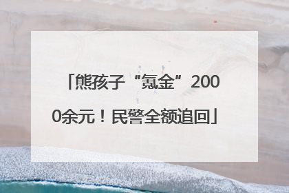 熊孩子“氪金”2000余元！民警全额追回