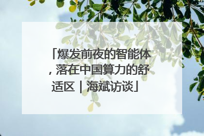 爆发前夜的智能体，落在中国算力的舒适区｜海斌访谈