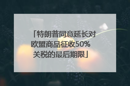 特朗普同意延长对欧盟商品征收50%关税的最后期限