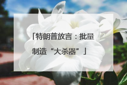 特朗普放言：批量制造“大杀器”