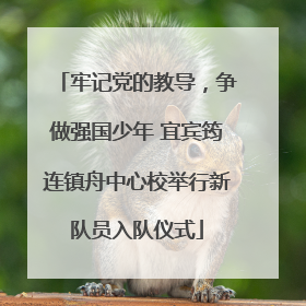 牢记党的教导，争做强国少年 宜宾筠连镇舟中心校举行新队员入队仪式