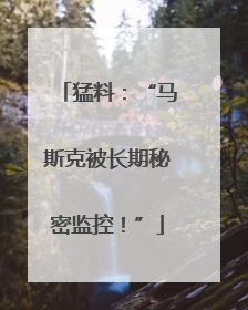 猛料：“马斯克被长期秘密监控！”