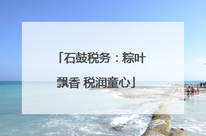 石鼓税务：粽叶飘香 税润童心
