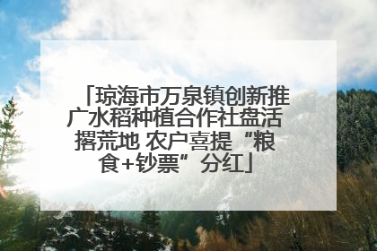 琼海市万泉镇创新推广水稻种植合作社盘活撂荒地 农户喜提“粮食+钞票”分红