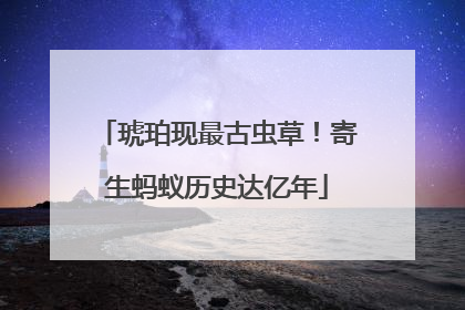 琥珀现最古虫草！寄生蚂蚁历史达亿年