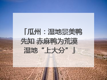 瓜州：湿地景美鸭先知 赤麻鸭为荒漠湿地“上大分”