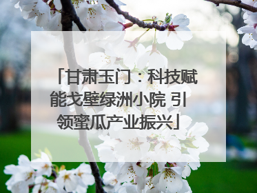 甘肃玉门：科技赋能戈壁绿洲小院 引领蜜瓜产业振兴