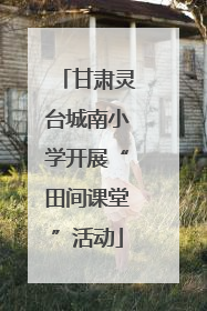 甘肃灵台城南小学开展“田间课堂”活动