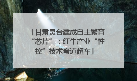 甘肃灵台建成自主繁育“芯片”：红牛产业“性控”技术弯道超车