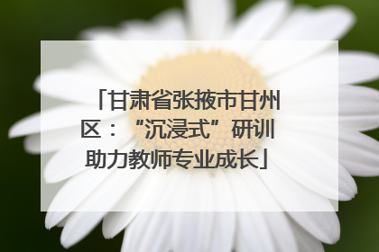甘肃省张掖市甘州区：“沉浸式”研训助力教师专业成长