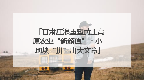 甘肃庄浪重塑黄土高原农业“新颜值”：小地块“拼”出大文章