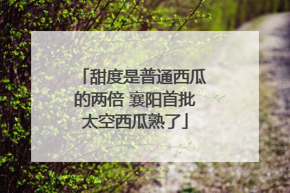 甜度是普通西瓜的两倍 襄阳首批太空西瓜熟了