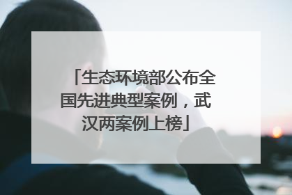 生态环境部公布全国先进典型案例，武汉两案例上榜