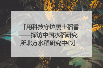 用科技守护黑土稻香——探访中国水稻研究所北方水稻研究中心