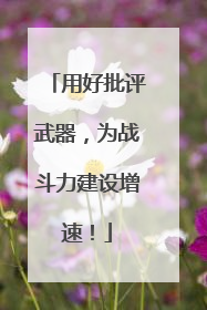 用好批评武器，为战斗力建设增速！