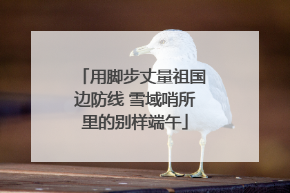 用脚步丈量祖国边防线 雪域哨所里的别样端午