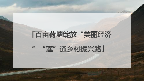 百亩荷塘绽放“美丽经济”“莲”通乡村振兴路