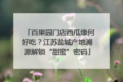 百果园门店西瓜缘何好吃？江苏盐城产地溯源解锁“甜蜜”密码