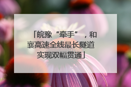 皖豫“牵手”，和襄高速全线最长隧道实现双幅贯通