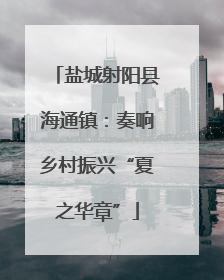 盐城射阳县海通镇：奏响乡村振兴“夏之华章”