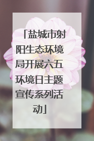 盐城市射阳生态环境局开展六五环境日主题宣传系列活动