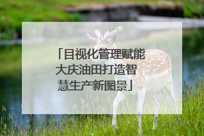 目视化管理赋能 大庆油田打造智慧生产新图景