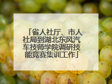 省人社厅、市人社局到湖北东风汽车技师学院调研技能竞赛集训工作
