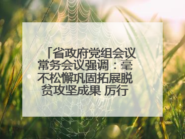 省政府党组会议常务会议强调：毫不松懈巩固拓展脱贫攻坚成果 厉行节约反对浪费弘扬优良作风