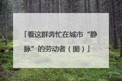 看这群奔忙在城市“静脉”的劳动者（图）