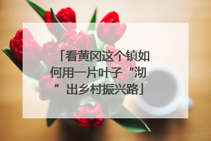 看黄冈这个镇如何用一片叶子“沏”出乡村振兴路