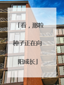 看，那粒种子正在向阳成长