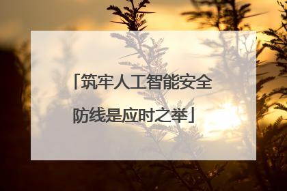 筑牢人工智能安全防线是应时之举