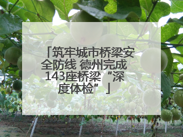 筑牢城市桥梁安全防线 德州完成143座桥梁“深度体检”