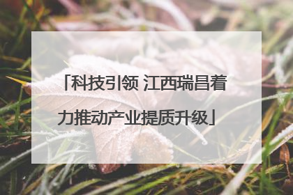 科技引领 江西瑞昌着力推动产业提质升级