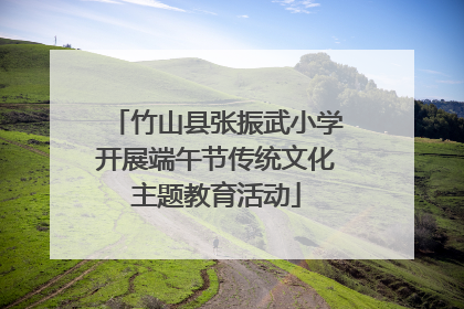 竹山县张振武小学开展端午节传统文化主题教育活动