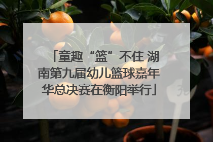 童趣“篮”不住 湖南第九届幼儿篮球嘉年华总决赛在衡阳举行
