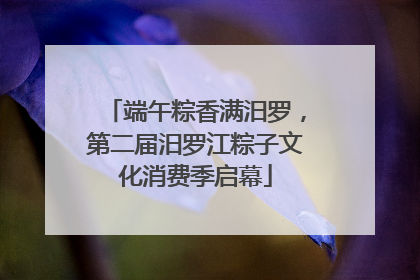 端午粽香满汨罗，第二届汨罗江粽子文化消费季启幕