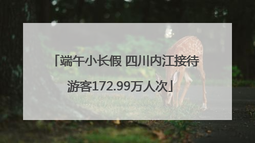 端午小长假 四川内江接待游客172.99万人次