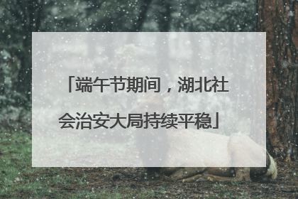 端午节期间，湖北社会治安大局持续平稳